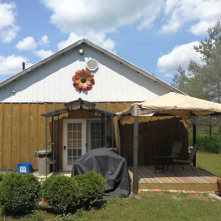 Dreamers Writing Farm, 3 Wooded Acres, Hepworth Sauble Beach Esterno foto