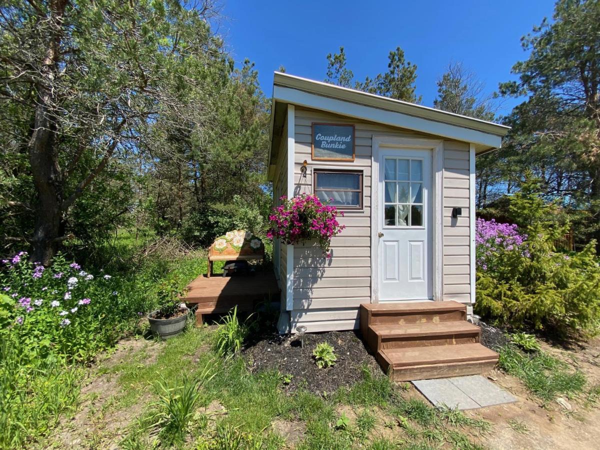 Dreamers Writing Farm, 3 Wooded Acres, Hepworth Sauble Beach Esterno foto