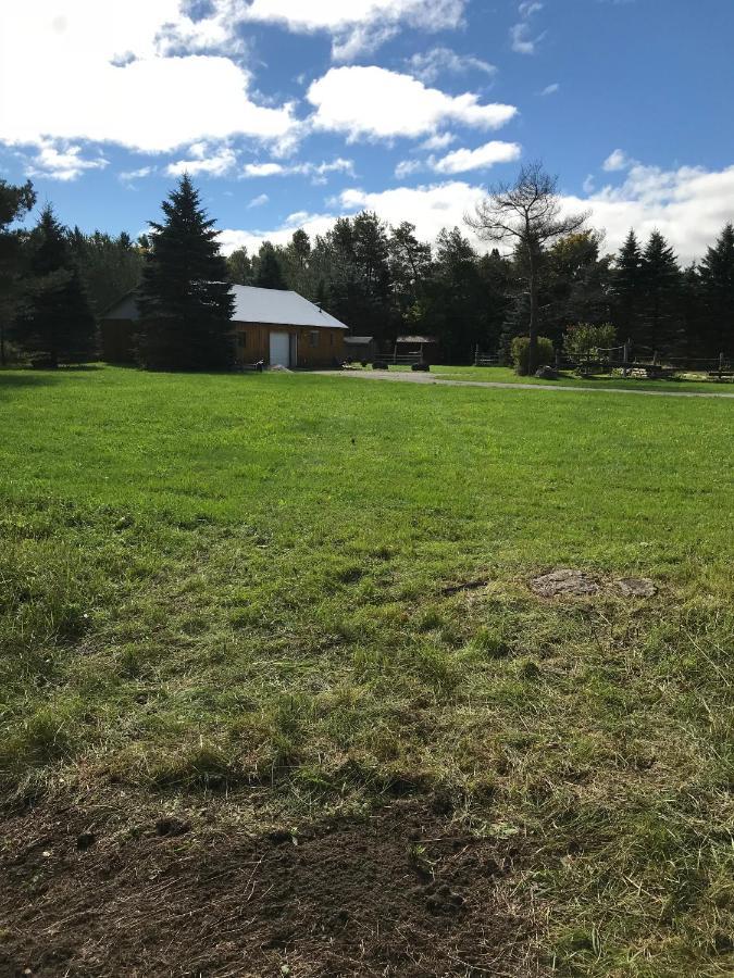Dreamers Writing Farm, 3 Wooded Acres, Hepworth Sauble Beach Esterno foto