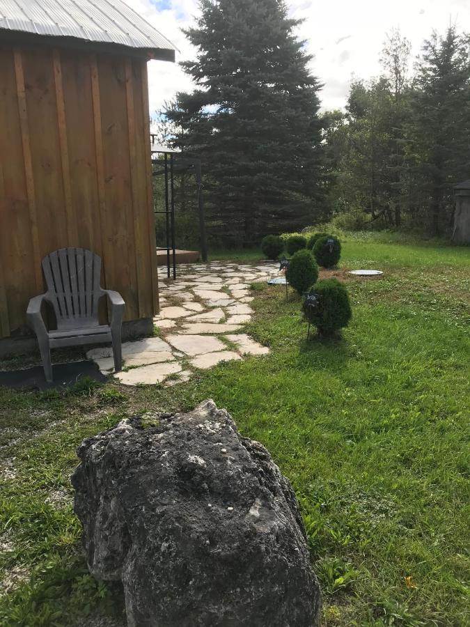 Dreamers Writing Farm, 3 Wooded Acres, Hepworth Sauble Beach Esterno foto
