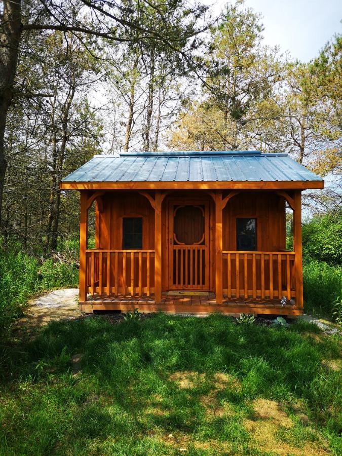 Dreamers Writing Farm, 3 Wooded Acres, Hepworth Sauble Beach Esterno foto