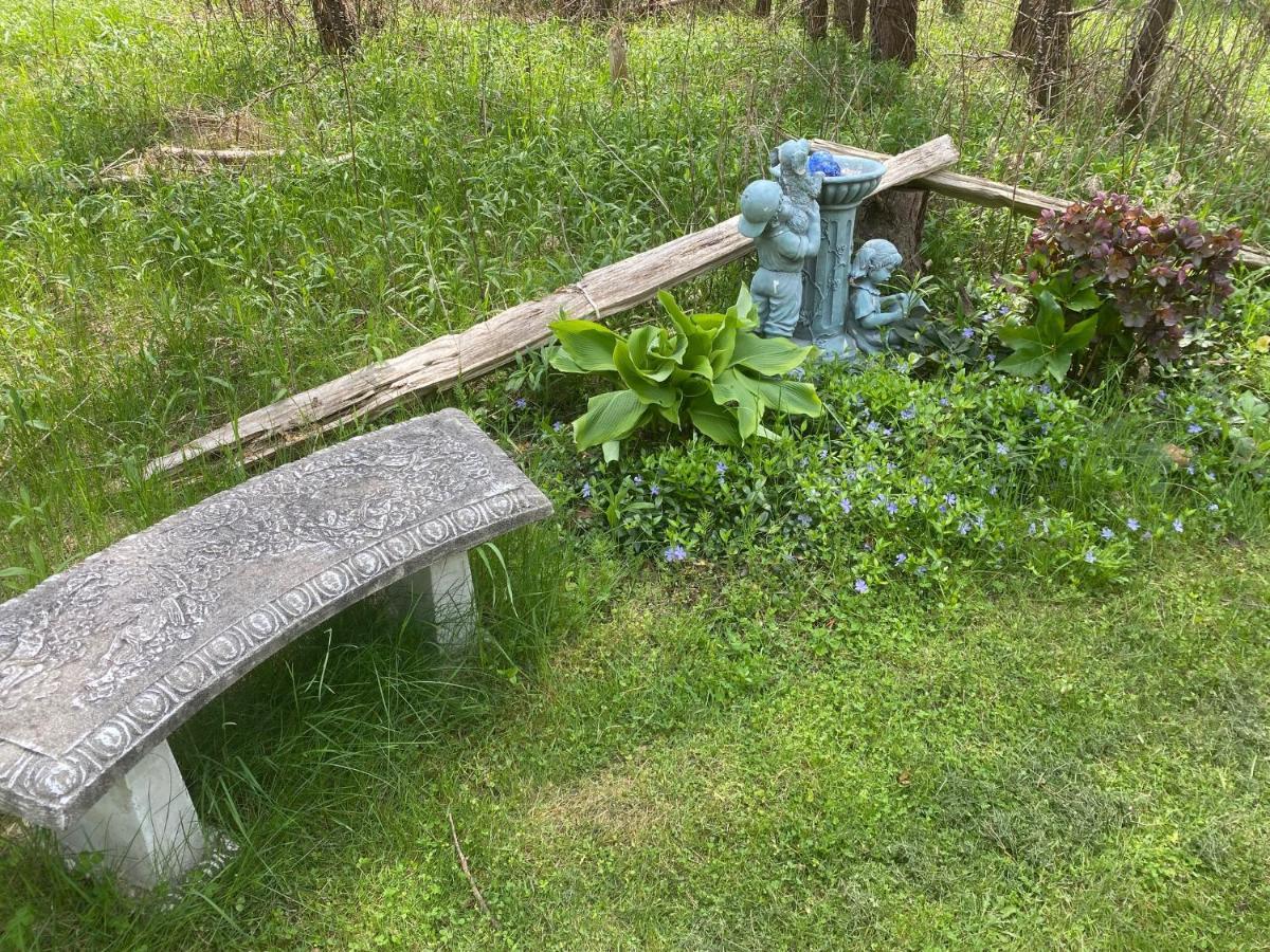 Dreamers Writing Farm, 3 Wooded Acres, Hepworth Sauble Beach Esterno foto