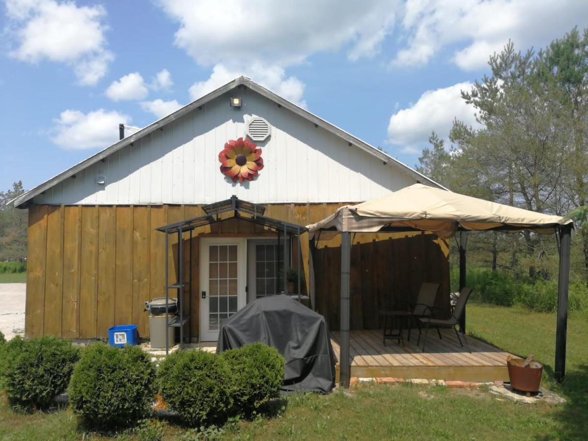 Dreamers Writing Farm, 3 Wooded Acres, Hepworth Sauble Beach Esterno foto