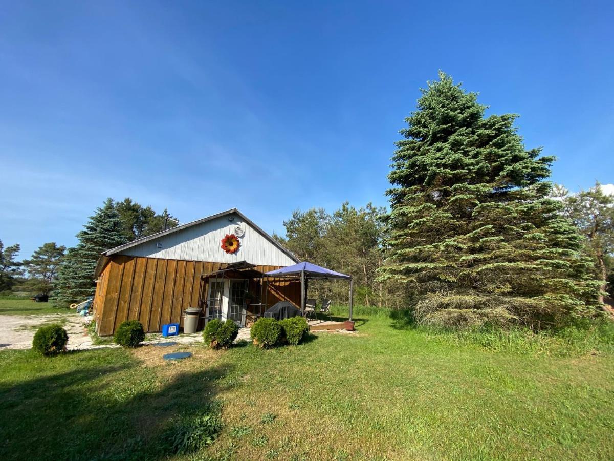 Dreamers Writing Farm, 3 Wooded Acres, Hepworth Sauble Beach Esterno foto