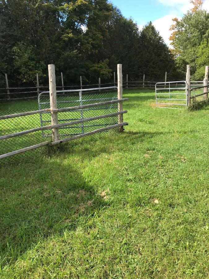 Dreamers Writing Farm, 3 Wooded Acres, Hepworth Sauble Beach Esterno foto