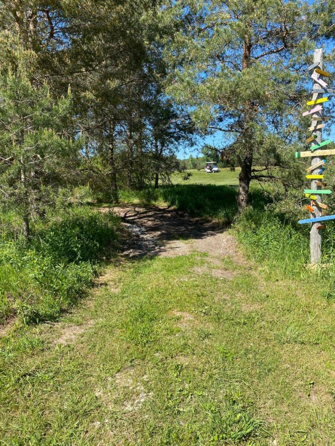 Dreamers Writing Farm, 3 Wooded Acres, Hepworth Sauble Beach Esterno foto