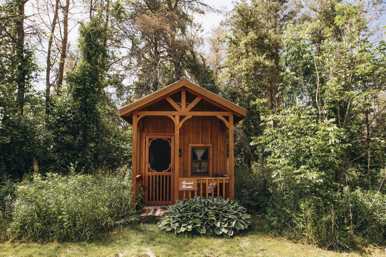 Dreamers Writing Farm, 3 Wooded Acres, Hepworth Sauble Beach Esterno foto